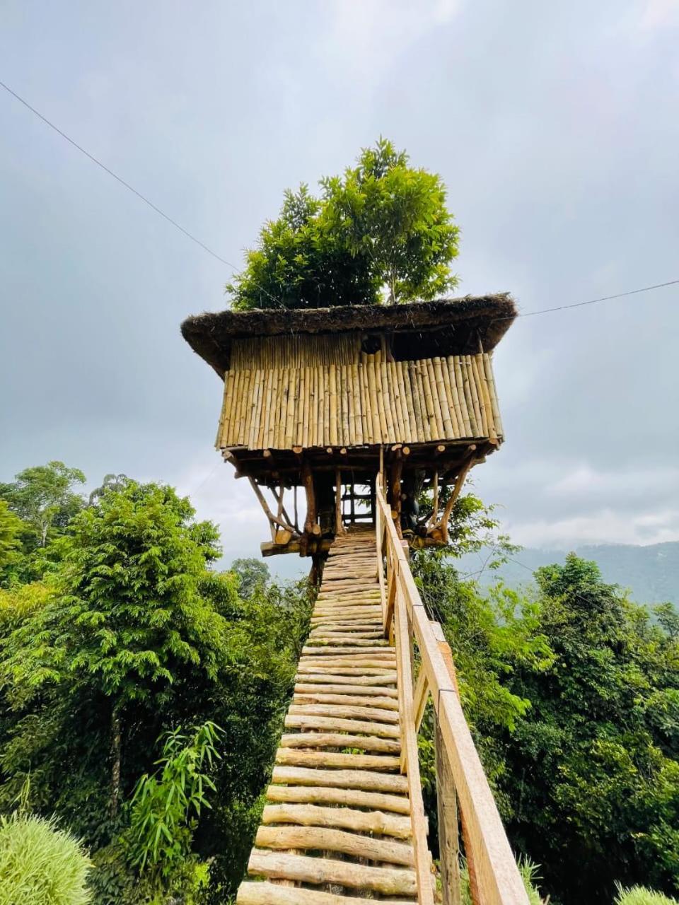 فيلا Palkulam Heights Kumudi المظهر الخارجي الصورة
